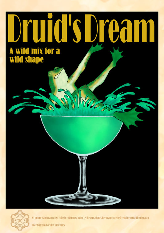 Druids Dream Poster